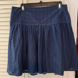 Ann Taylor Blue Skirt